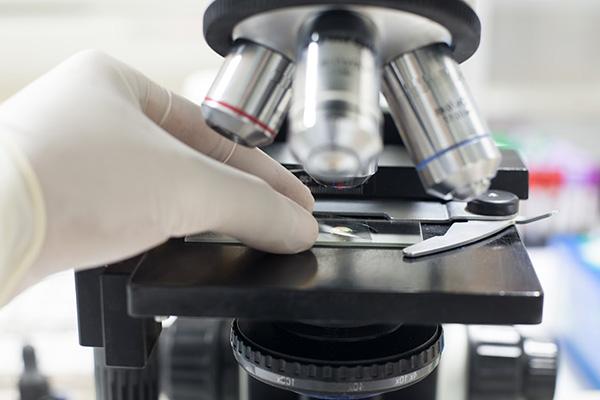 Student placing biological sample with slide on microscope